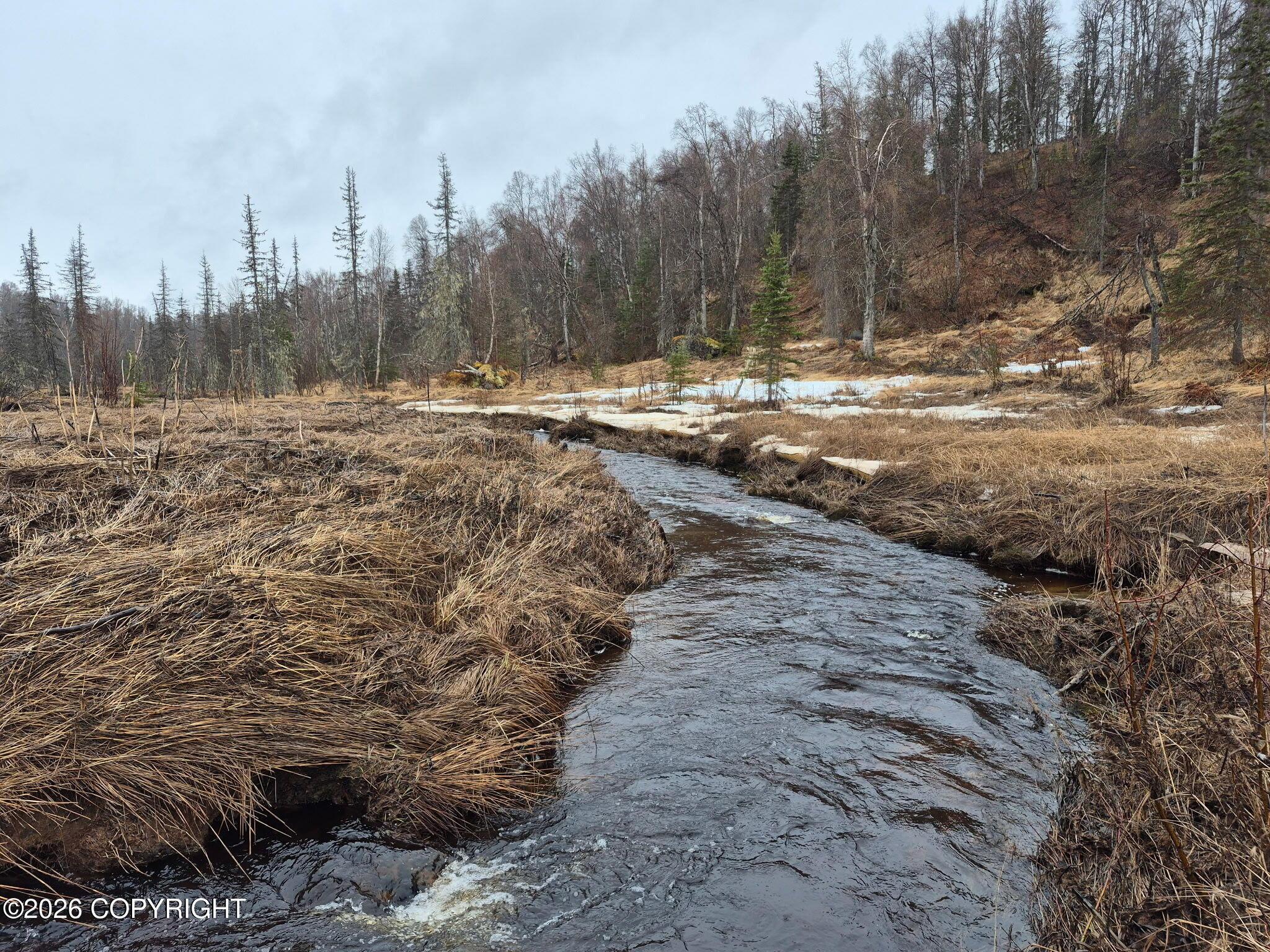 000 ASLS 91-040, Trapper Creek AK 99683