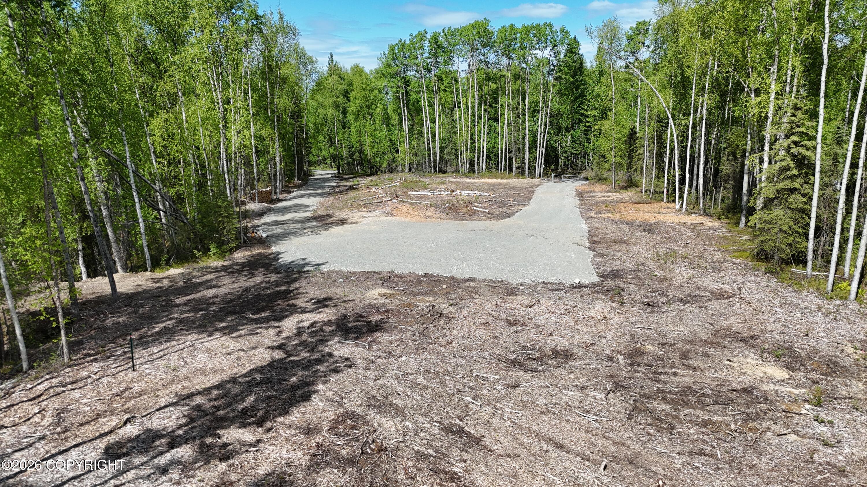 51293 S Caswell Loop, Willow AK 99688