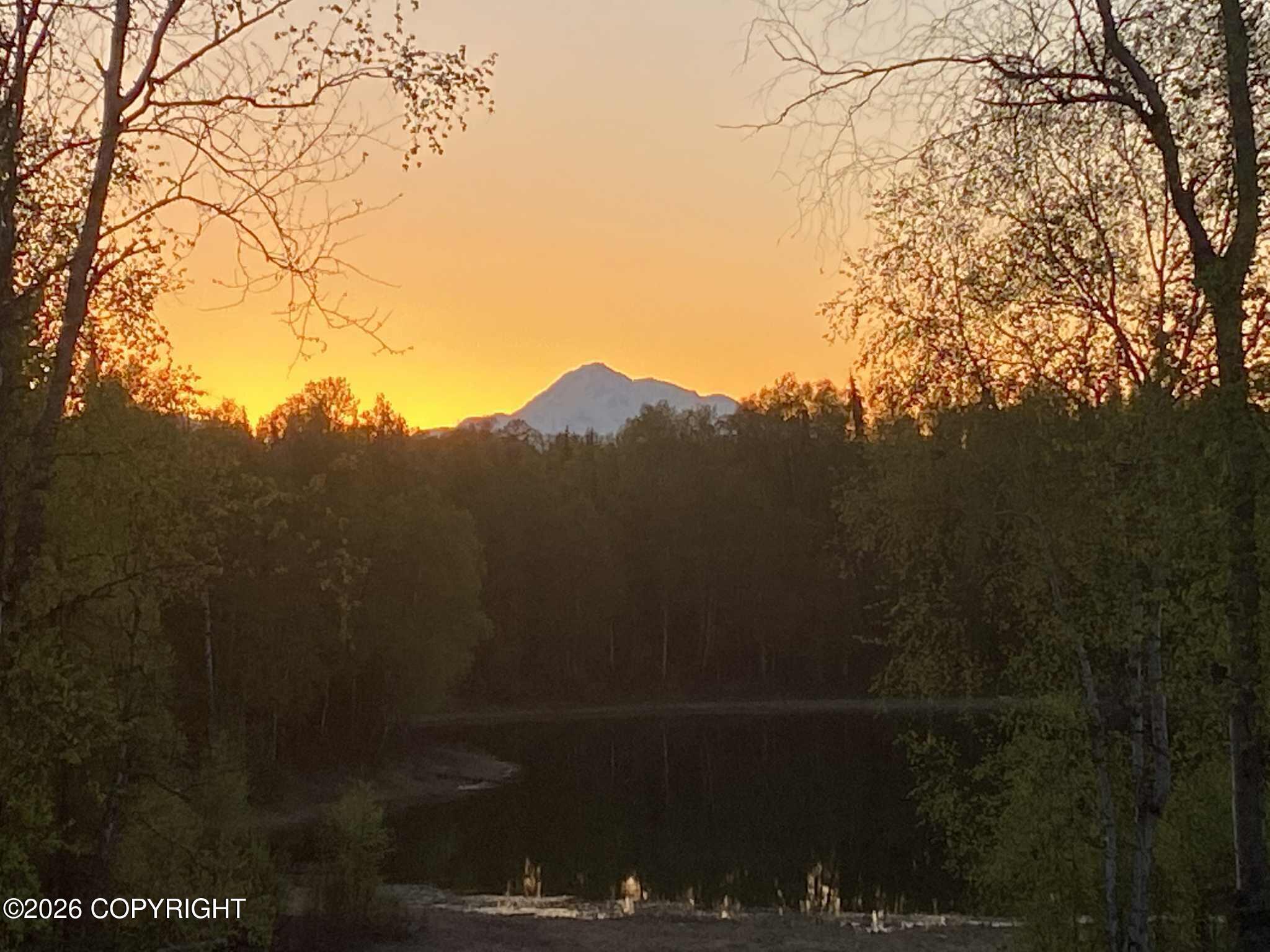 25476 S Wolf Track Road, Talkeetna AK 99676