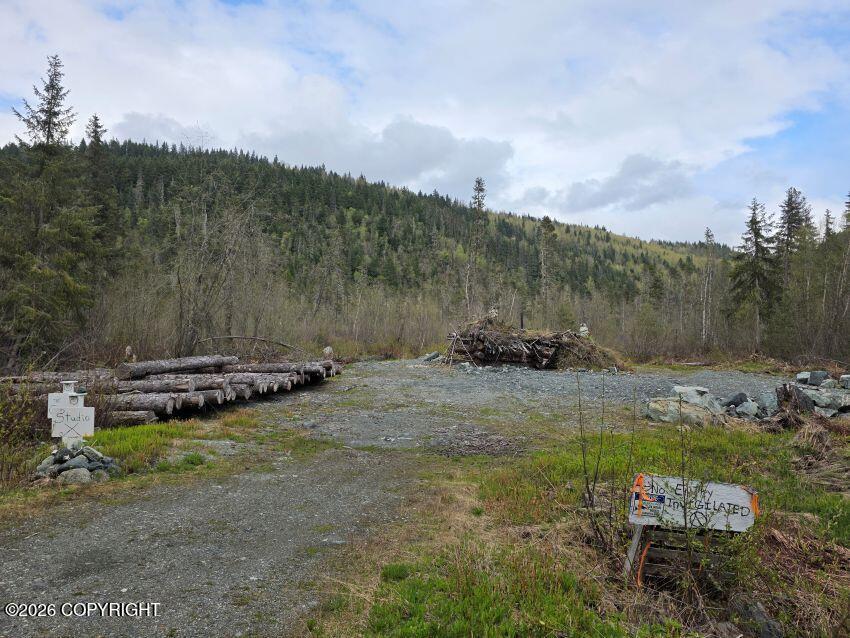 638 Mosquito Lake Road, Haines AK 99827