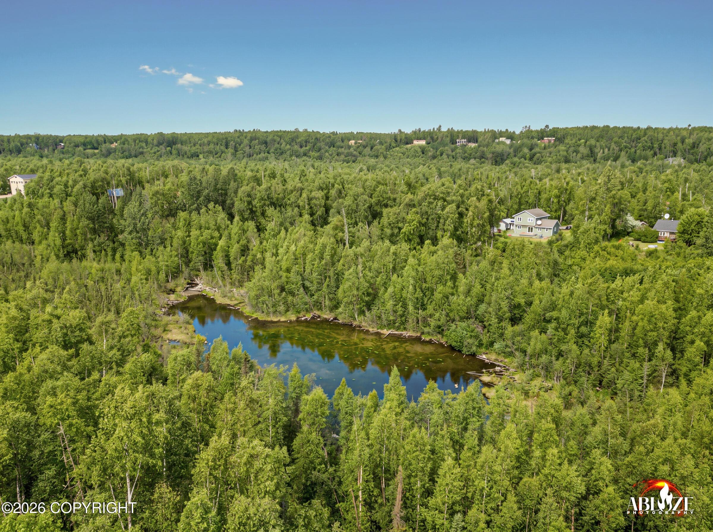7927 W Hentila Street, Wasilla AK 99623