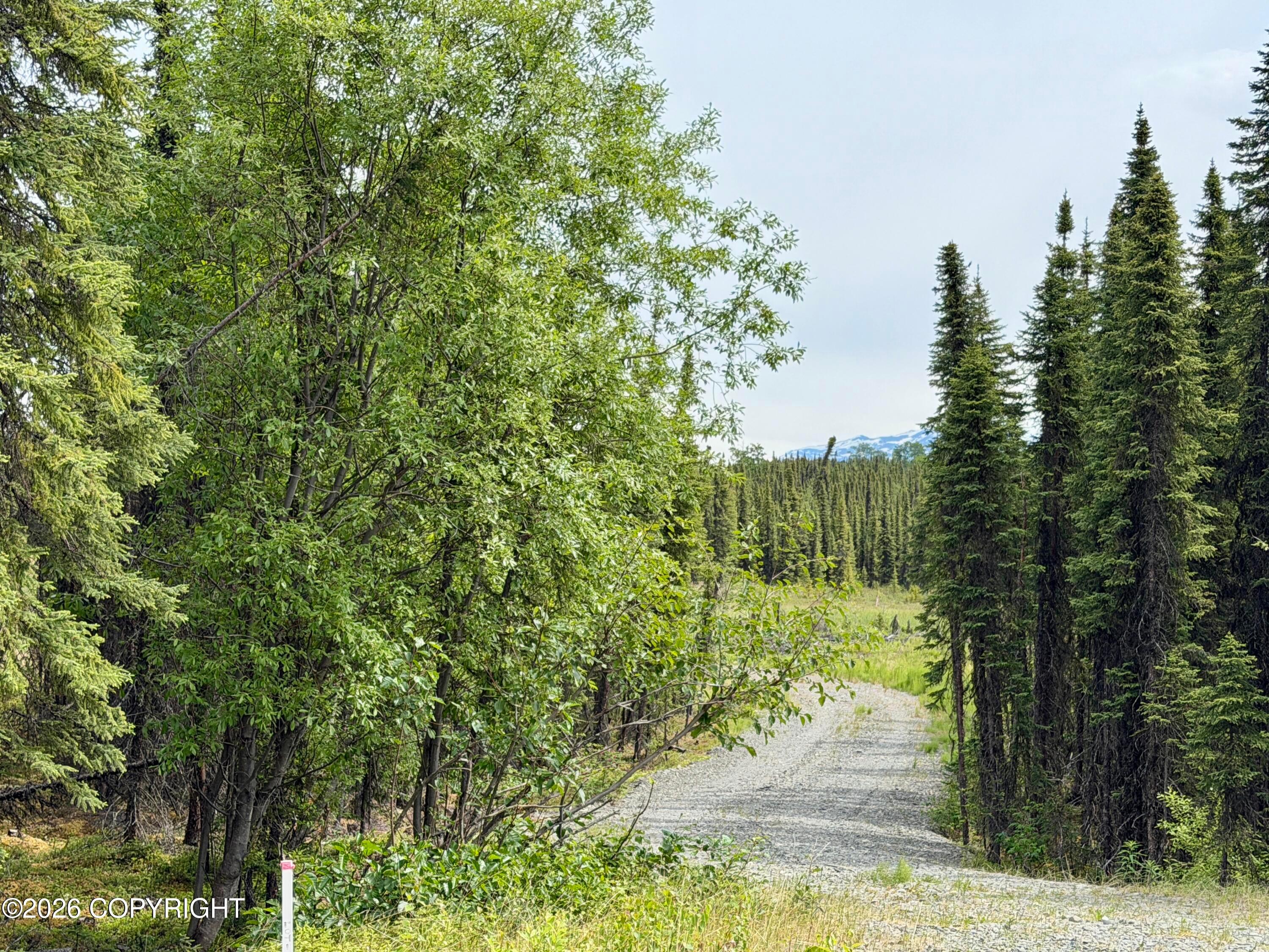 32796 Aletha Court, Soldotna AK 99669