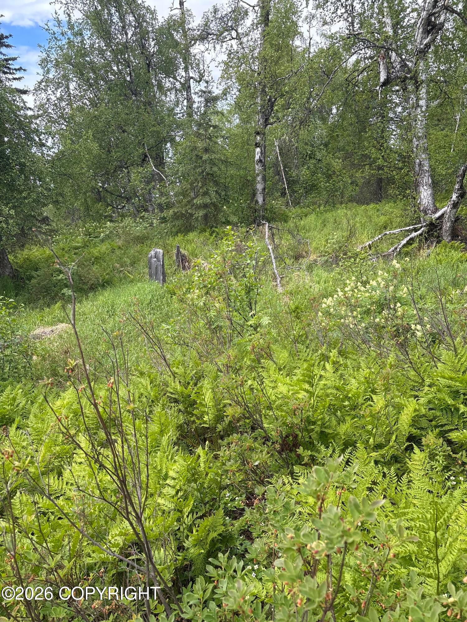 22909 E Rampart Loop, Talkeetna AK 99676