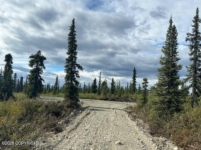 49668 S Timberwolf Road, Chickaloon AK 99674
