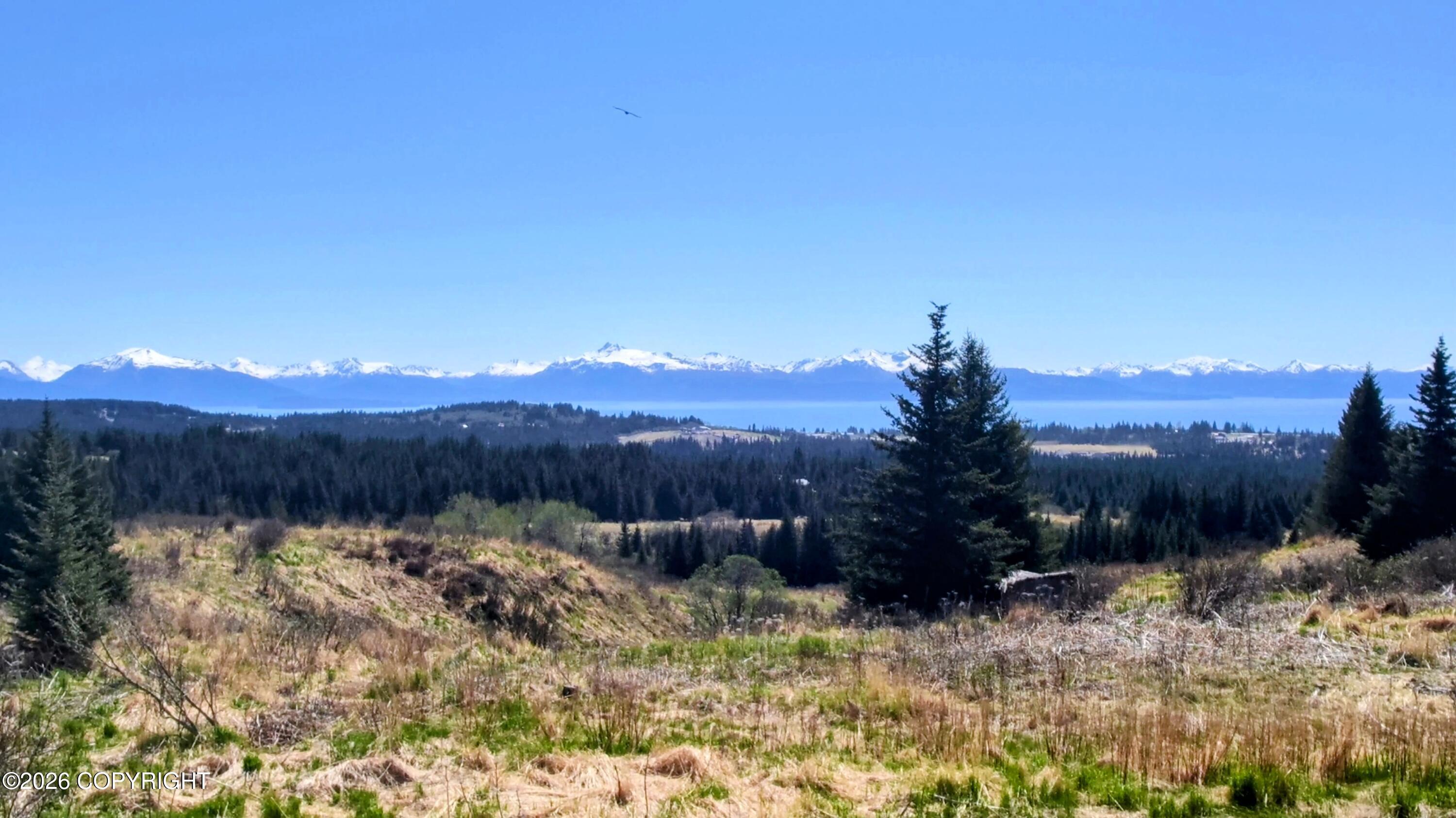 66711 Fry Court, Homer AK 99603