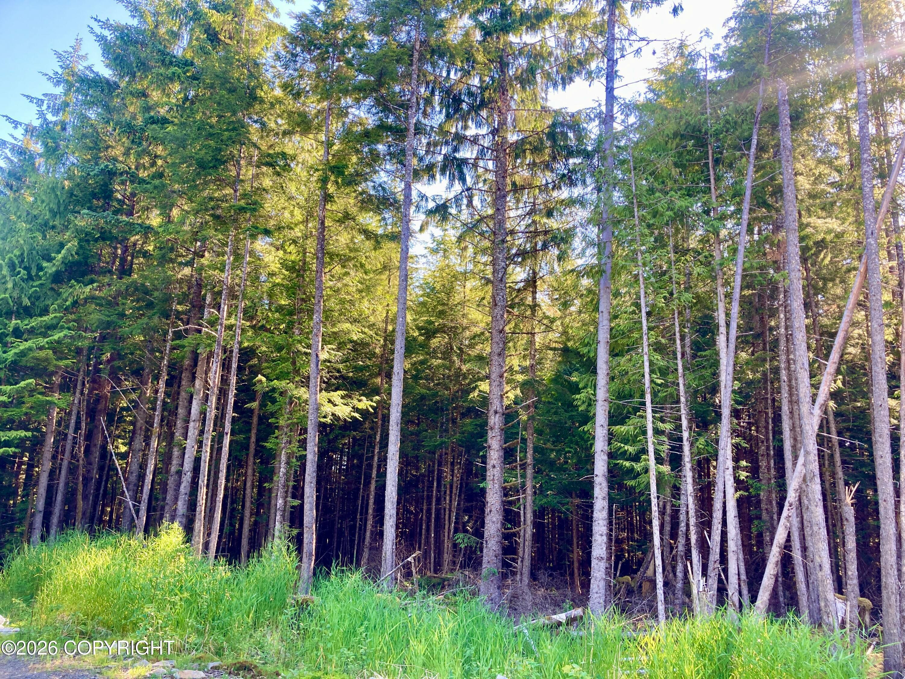 L2 Coffman Highway, Coffman Cove AK 99918