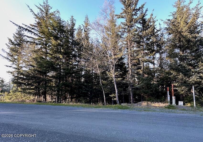 Lot8 BlkB Skyline Drive, Haines AK 99827