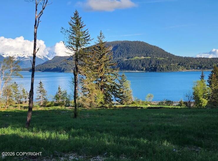 Lot 5 Barnett St Extension, Haines AK 99827