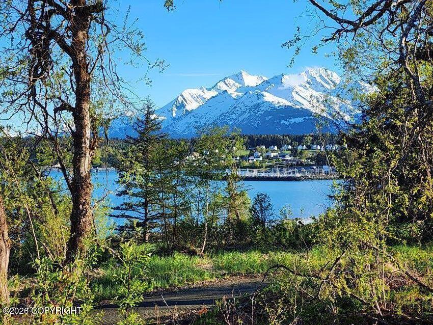 Lot 7 Ocean View Drive, Haines AK 99827