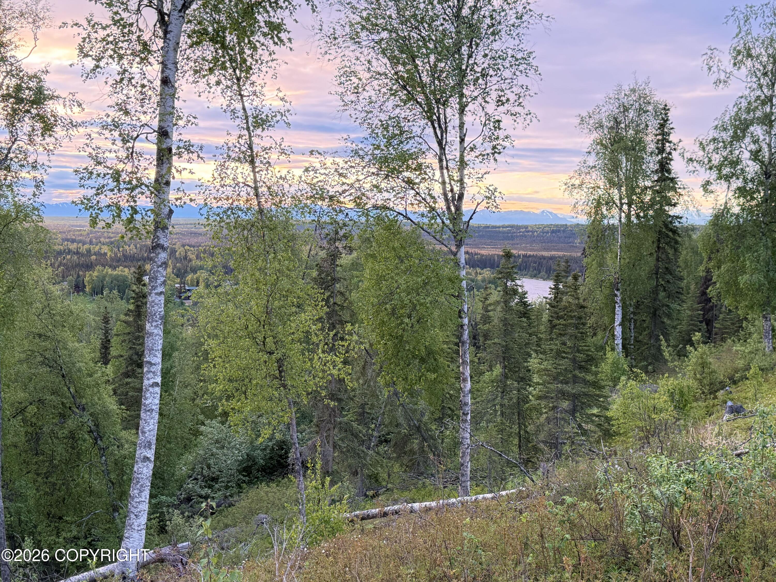 41158 Carnation Court, Soldotna AK 99669