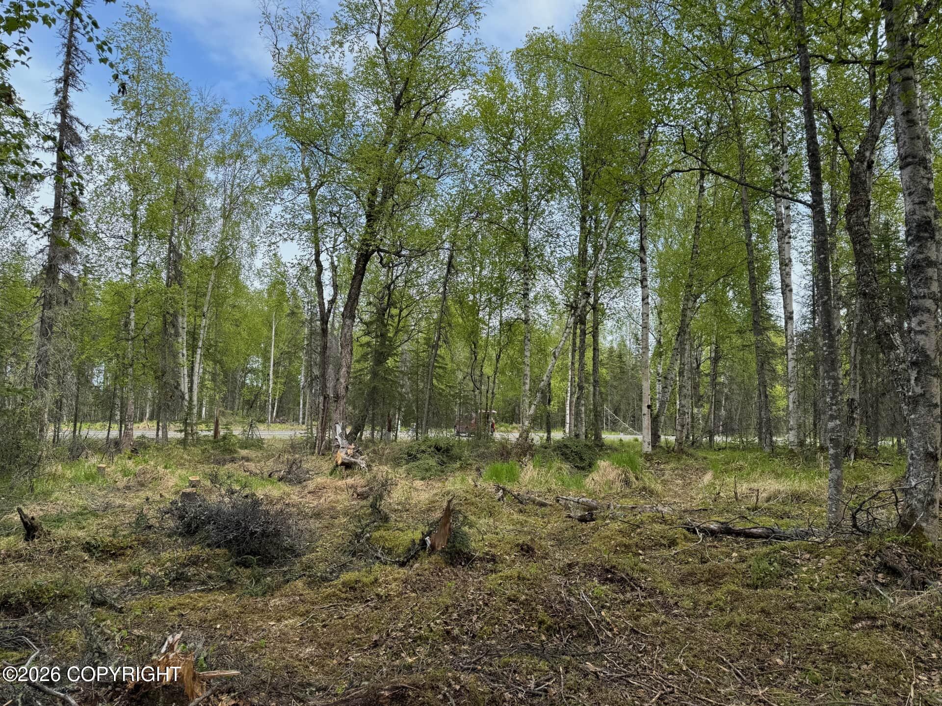 4173 E Harman, Wasilla AK 99654