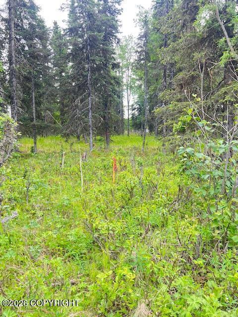 L2 Madsen Avenue, Kasilof AK 99610