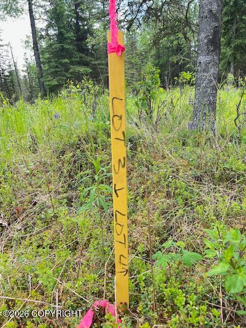 L4 Madsen Avenue, Kasilof AK 99610