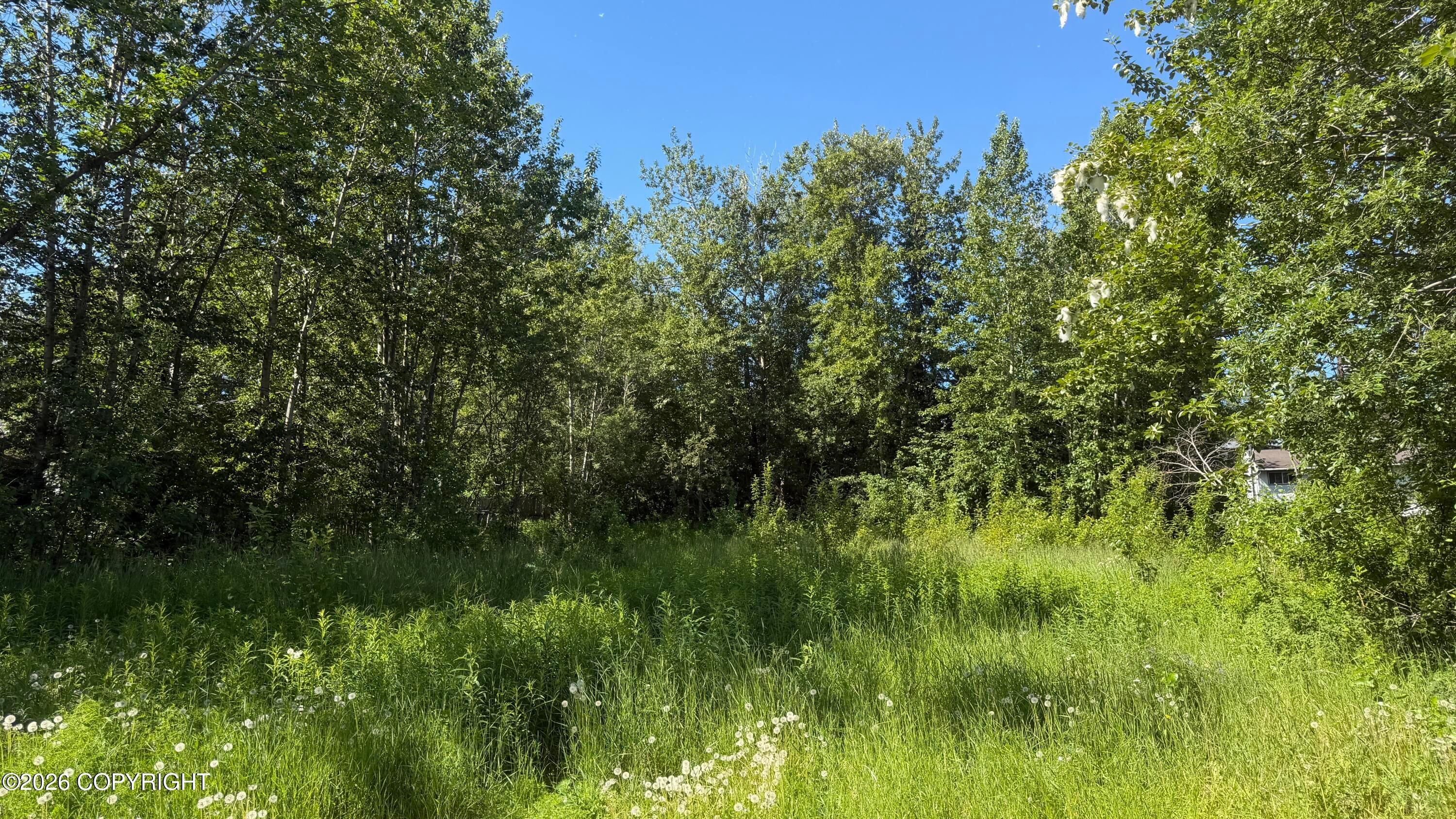 000 E 79th Avenue, Anchorage AK 99518