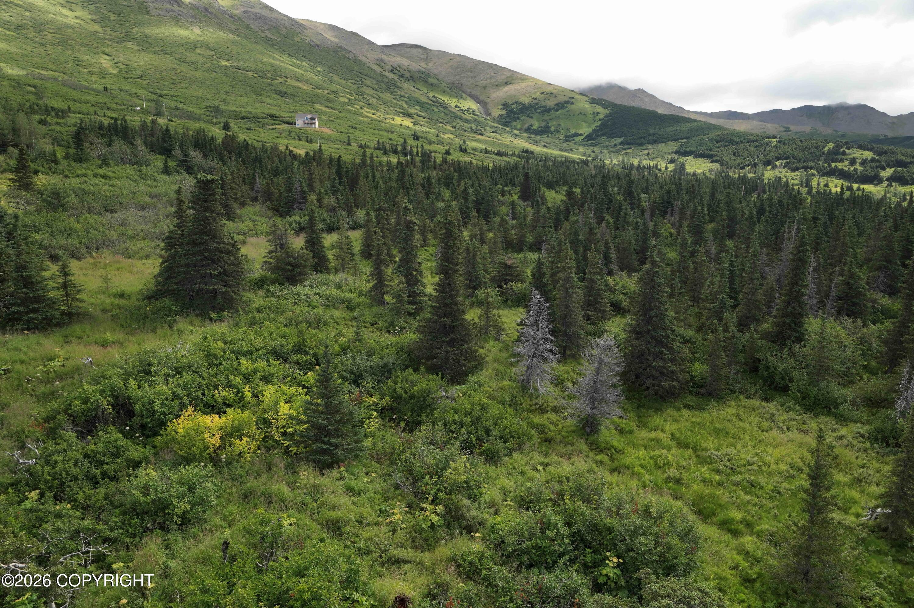 Lot A-1 Mountain Terrace Estates #2 Road, Anchorage AK 99516