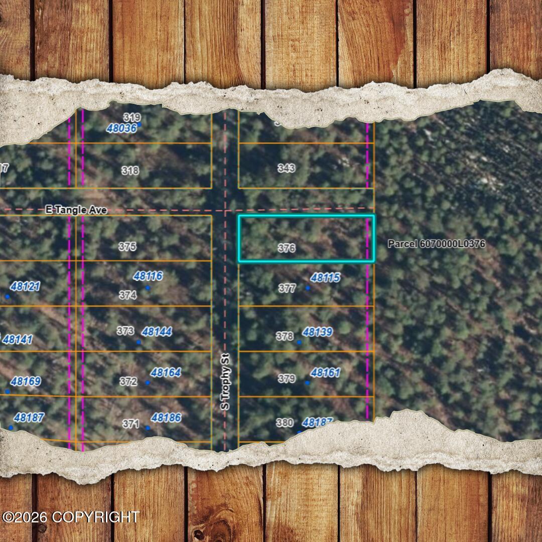 000 S Trophy Street, Willow AK 99688
