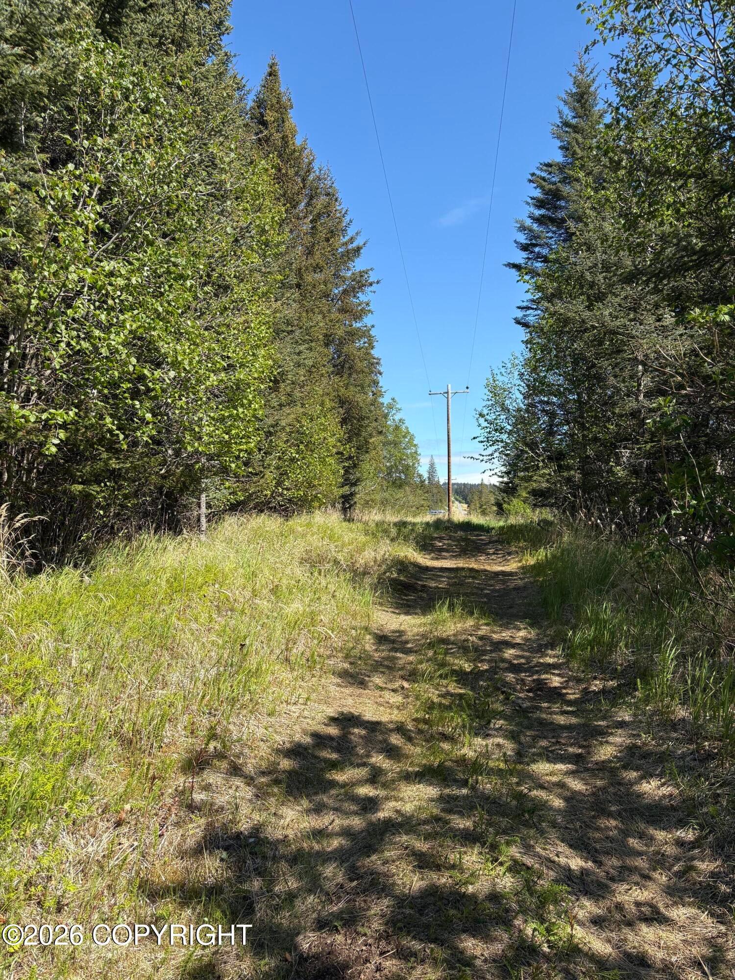 L3A Virginia Avenue, Homer AK 99603