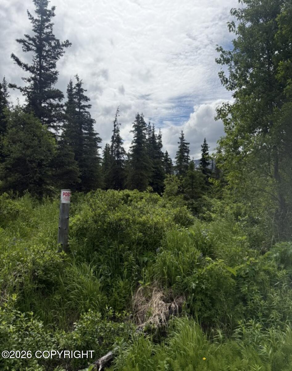 Mile 6.7 Hiland Road, Eagle River AK 99577