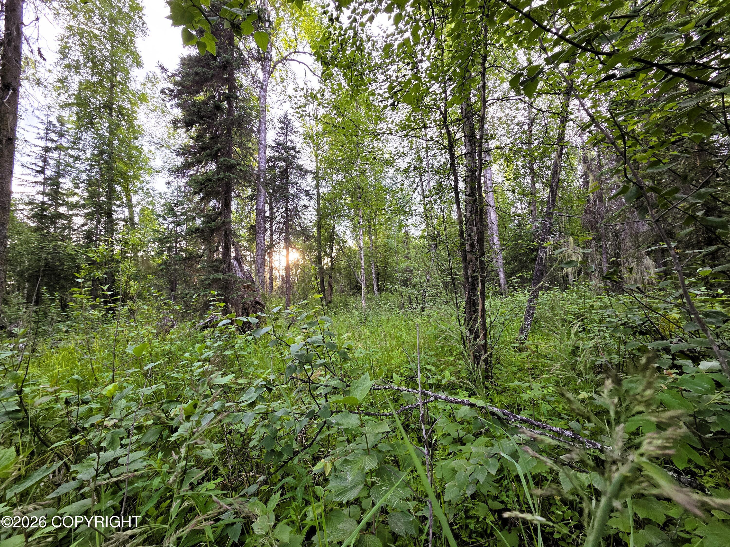 14403 E Lichtenwalner Road, Talkeetna AK 99676