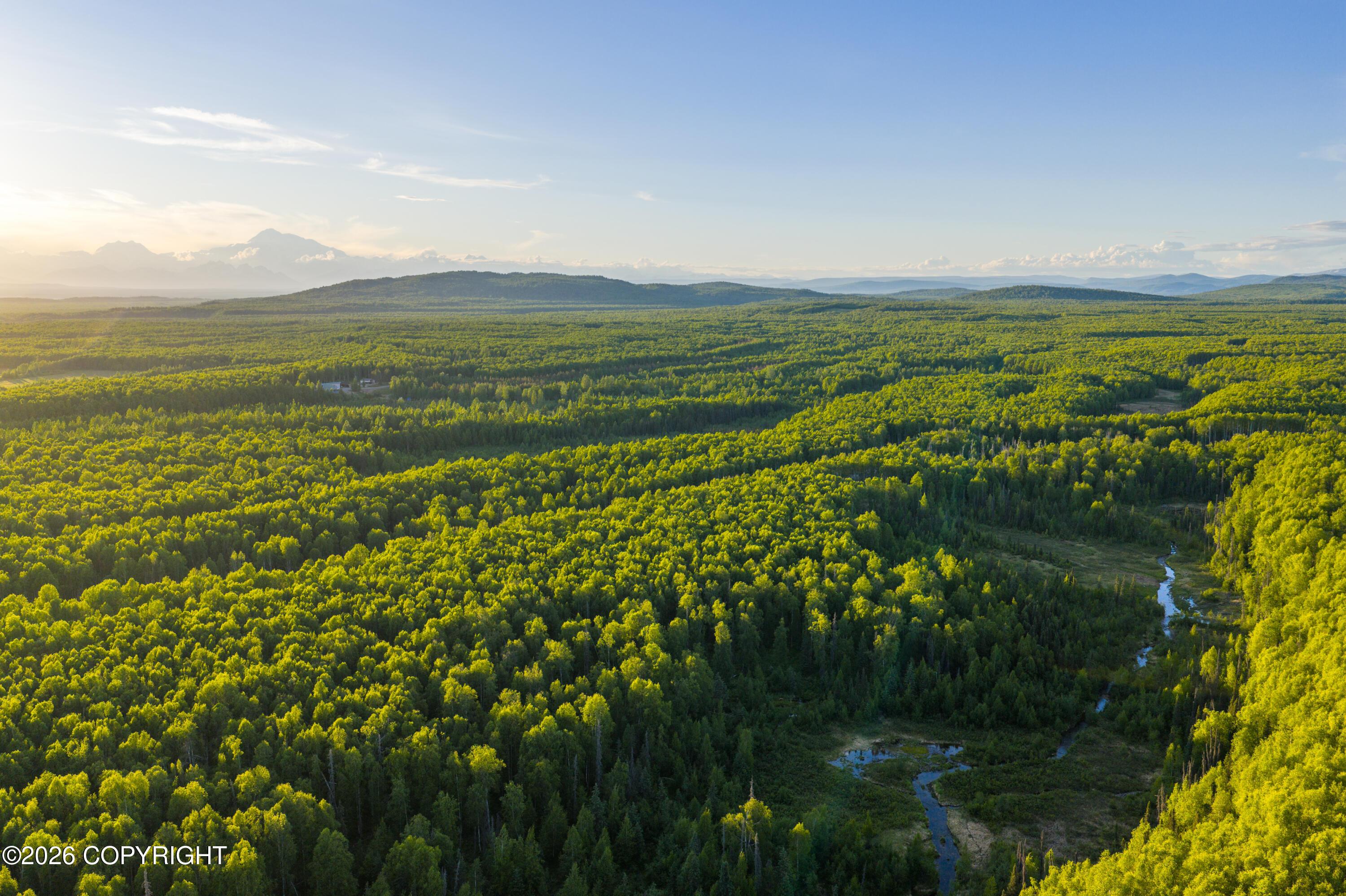 #11 Baldy Lake Airpark, Talkeetna AK 99676