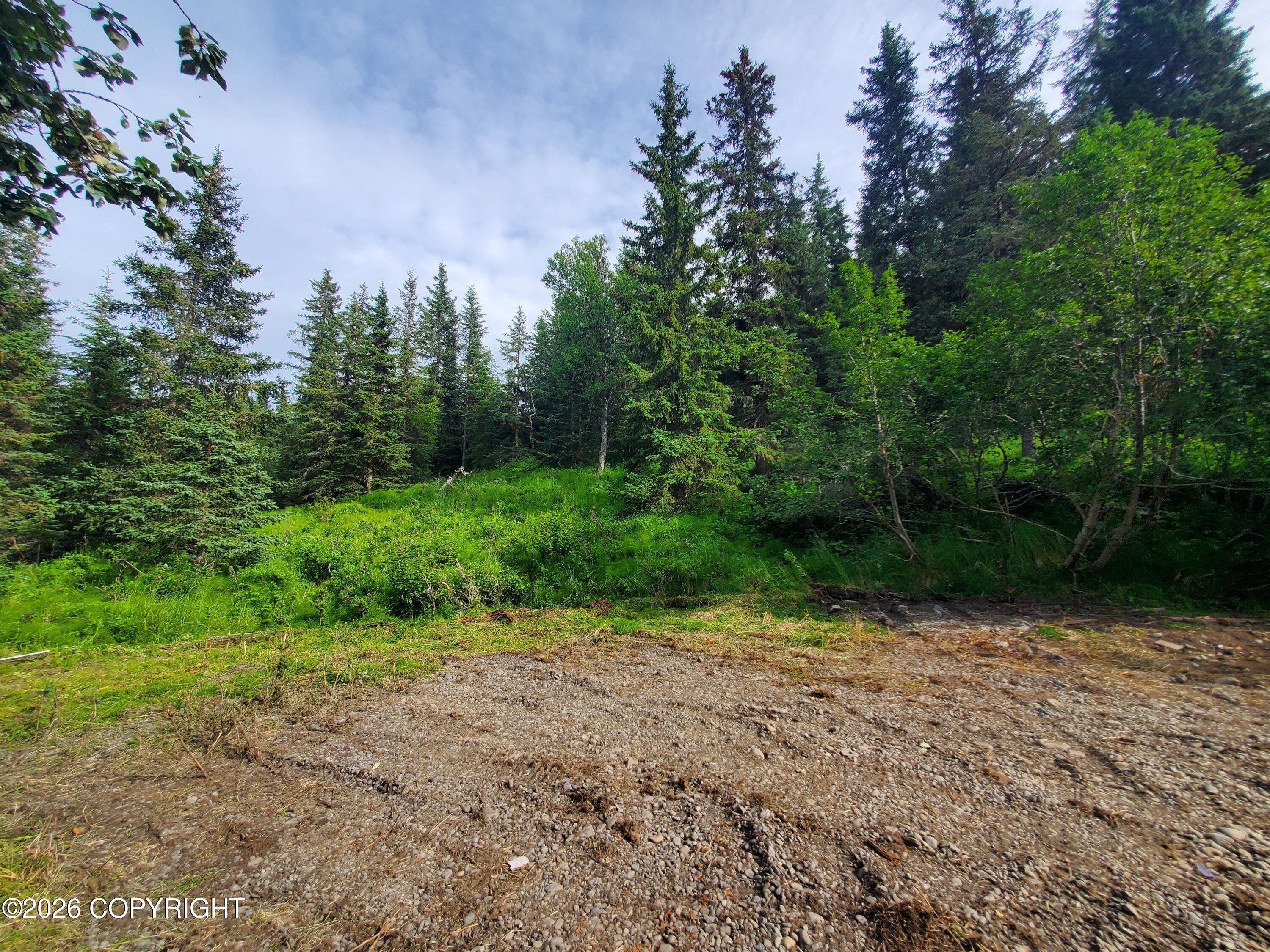 73470 Ann Court, Anchor Point AK 99556