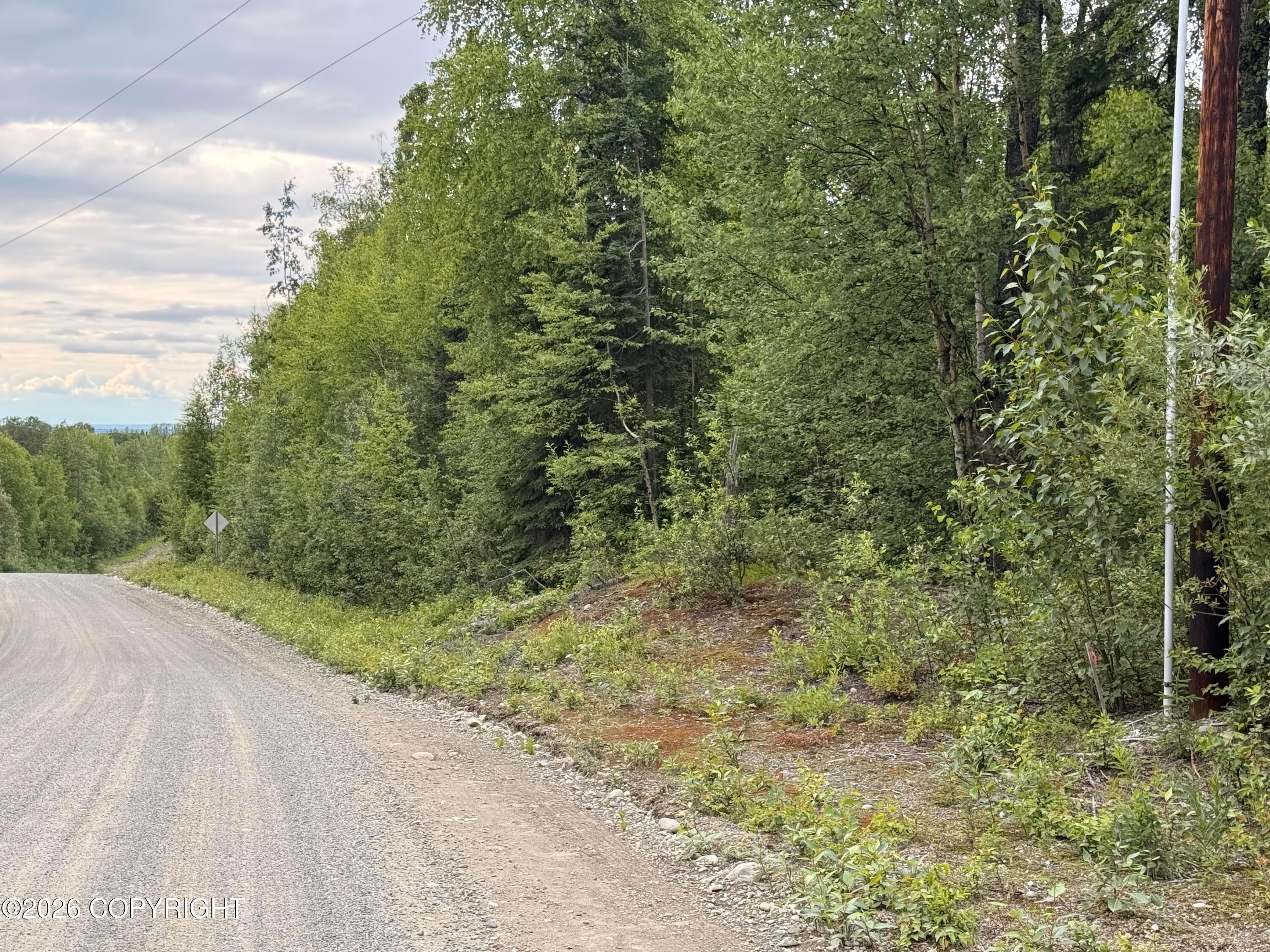 21501 E Caswell Lakes Road, Willow AK 99688