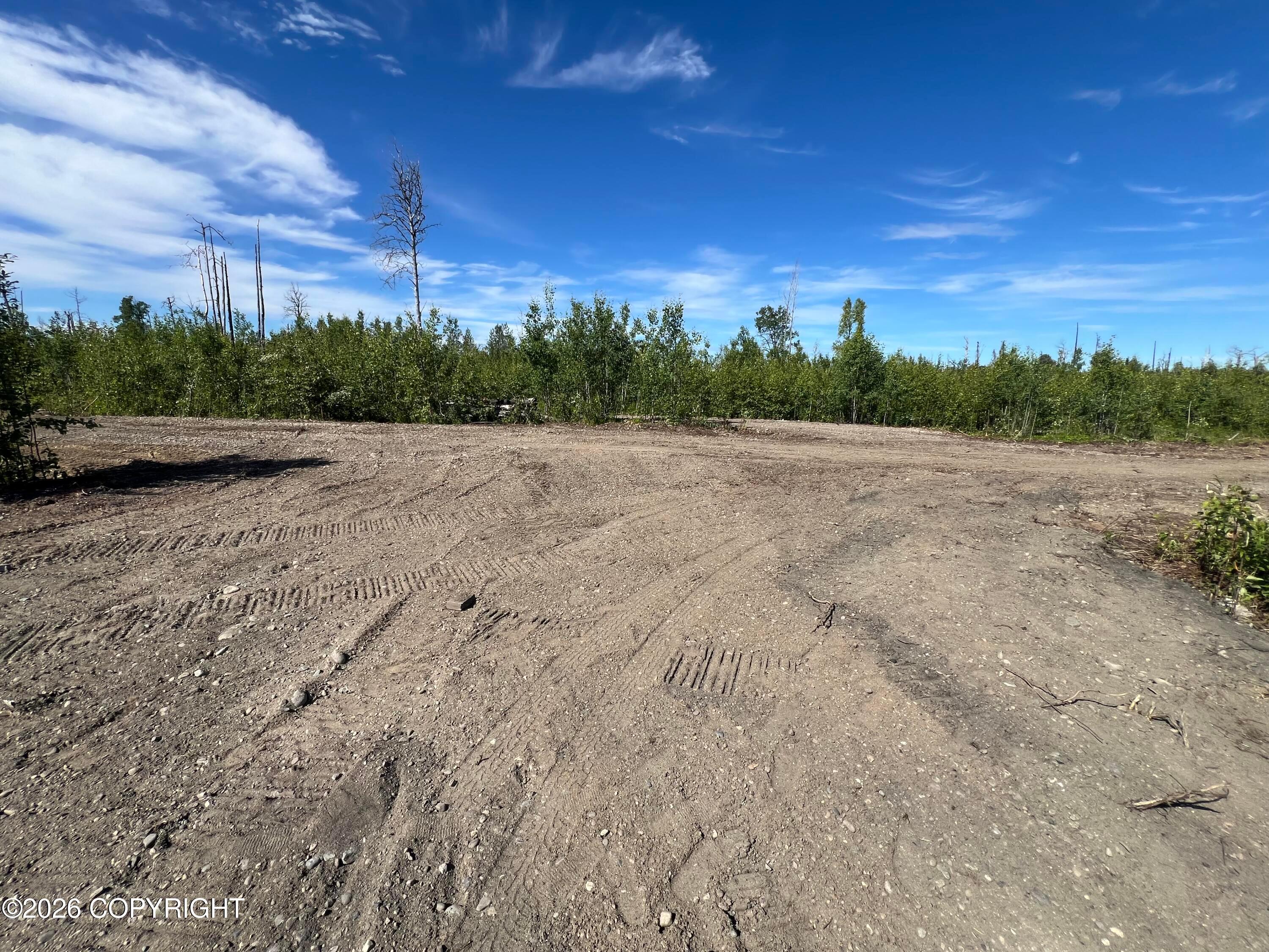 15466 E Wild Bill Way, Willow AK 99688