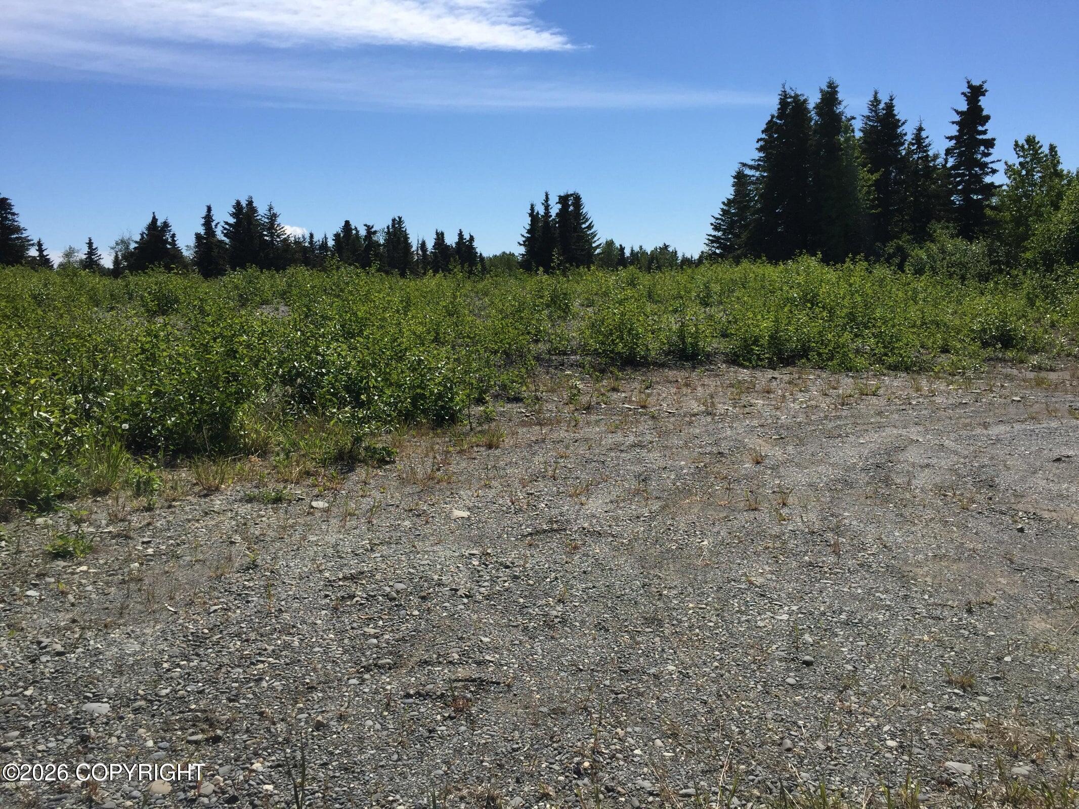 66417 Alder Avenue, Ninilchik AK 99639