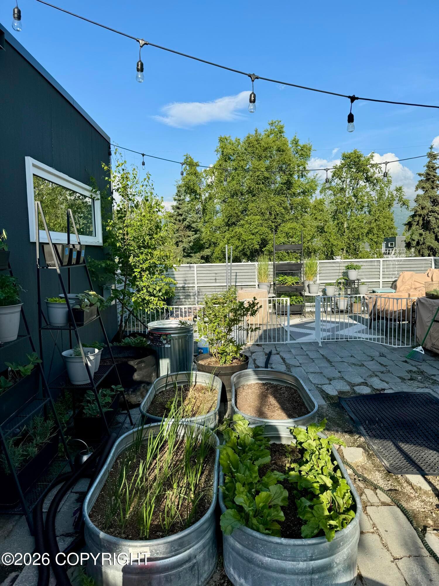 5201 E Northern Lights Boulevard #5W, Anchorage AK 99508