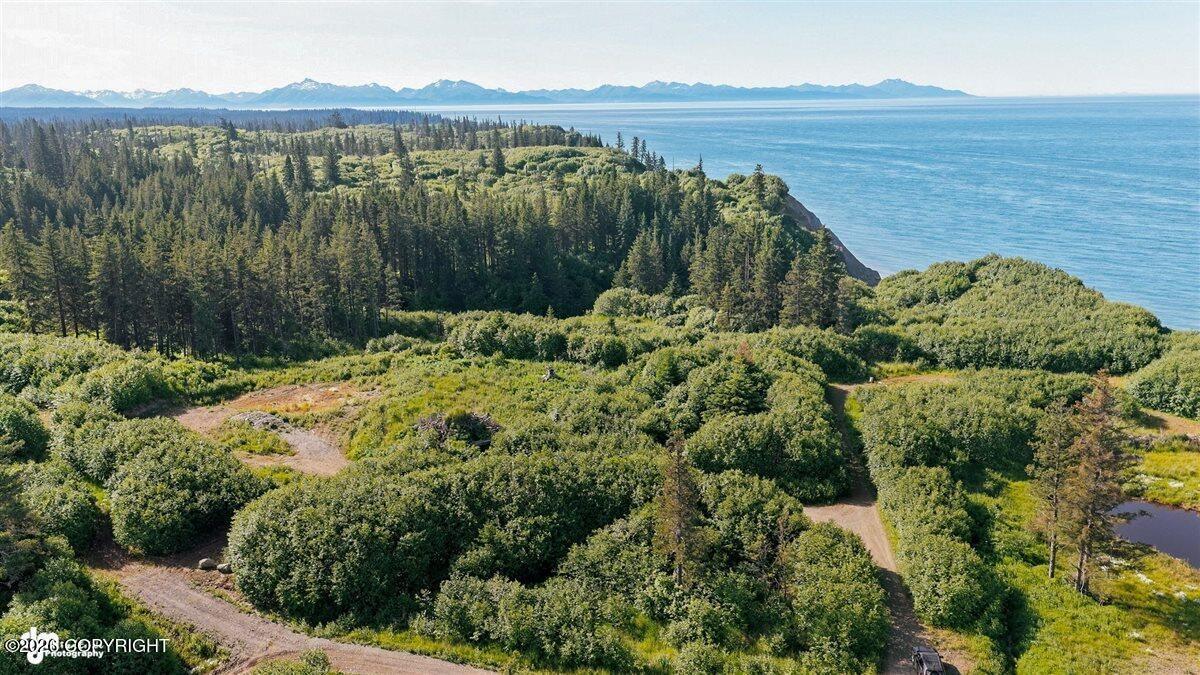 35899 & 35931 Danver Street, Anchor Point AK 99556