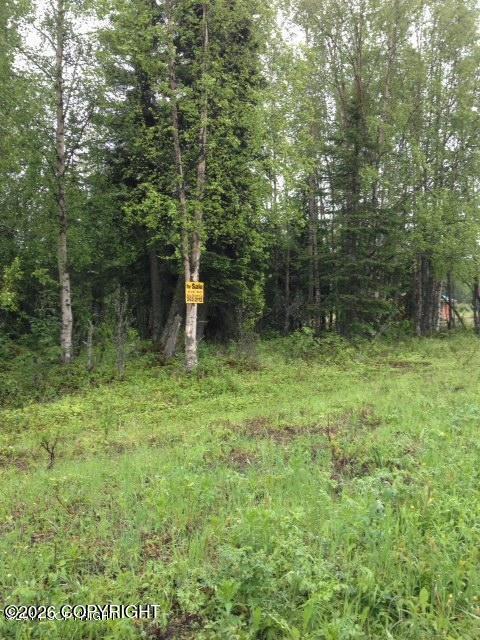 49335 Sterling Highway, Soldotna AK 99669