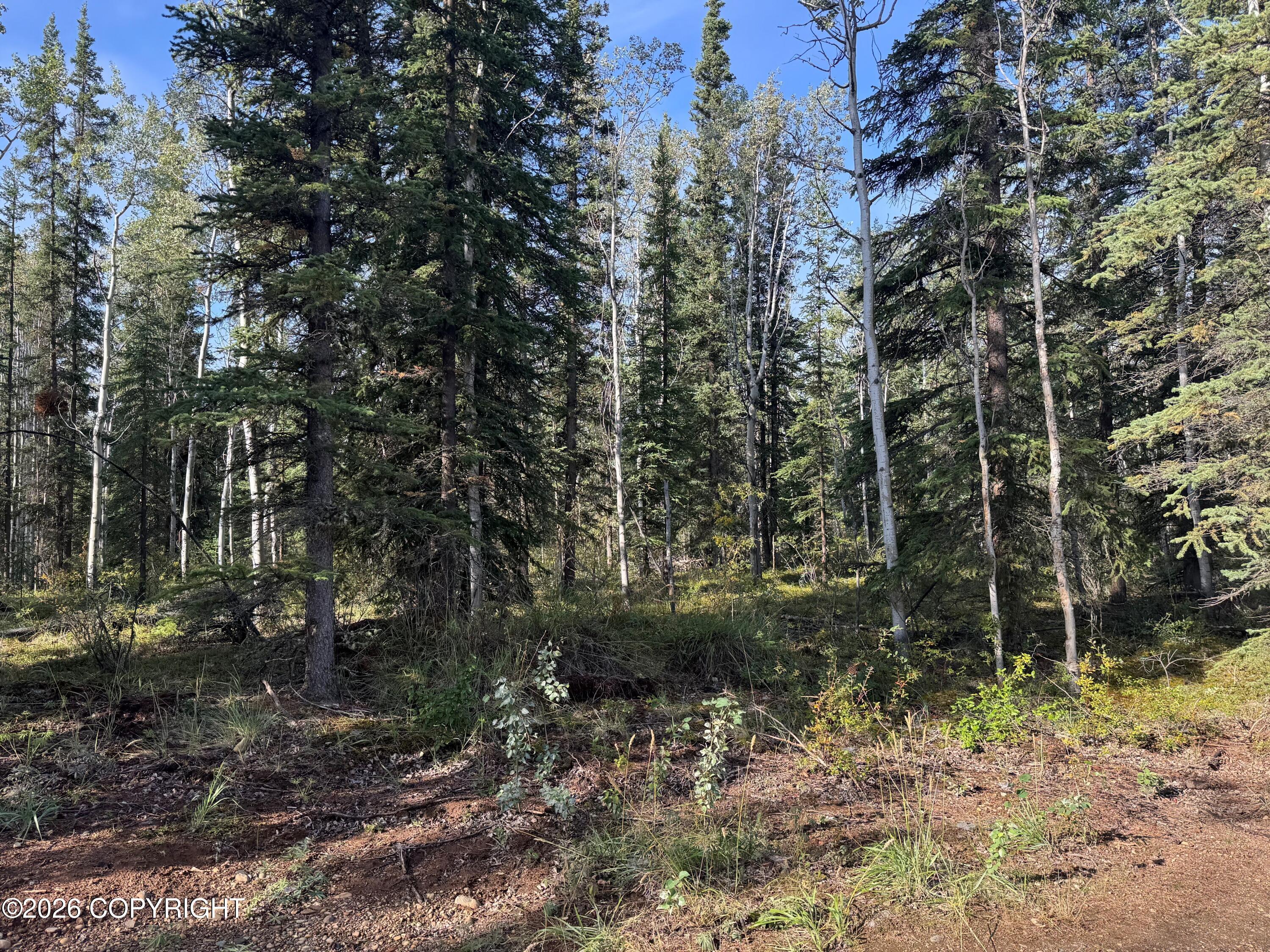 Lot 15 Drucke Miller Road, Tok AK 99780