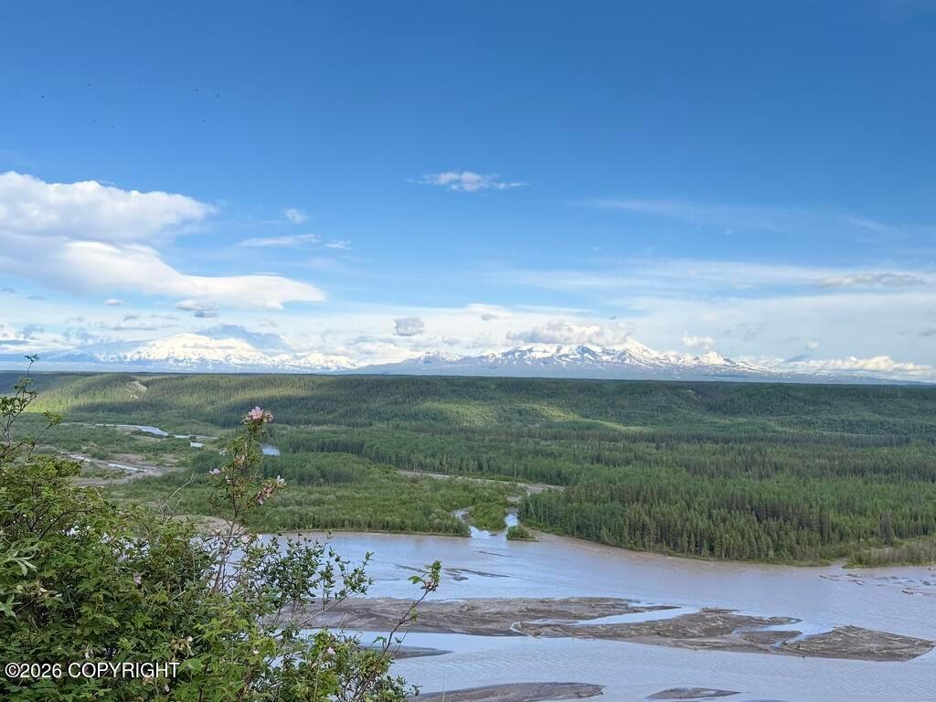 Mile .5 Tok Cut-Off Highway, Gakona AK 99586