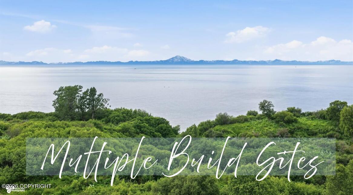 64310 Elizabeth Avenue, Ninilchik AK 99639