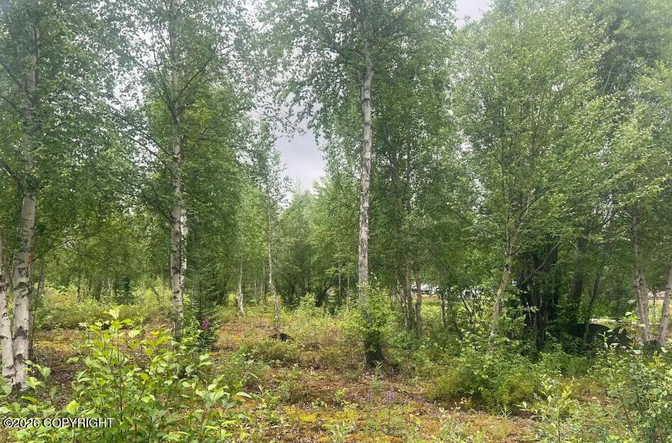 4758 S Horseshoe Lake Road, Big Lake AK 99652