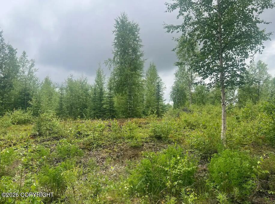 4764 S Horseshoe Lake Road, Big Lake AK 99652
