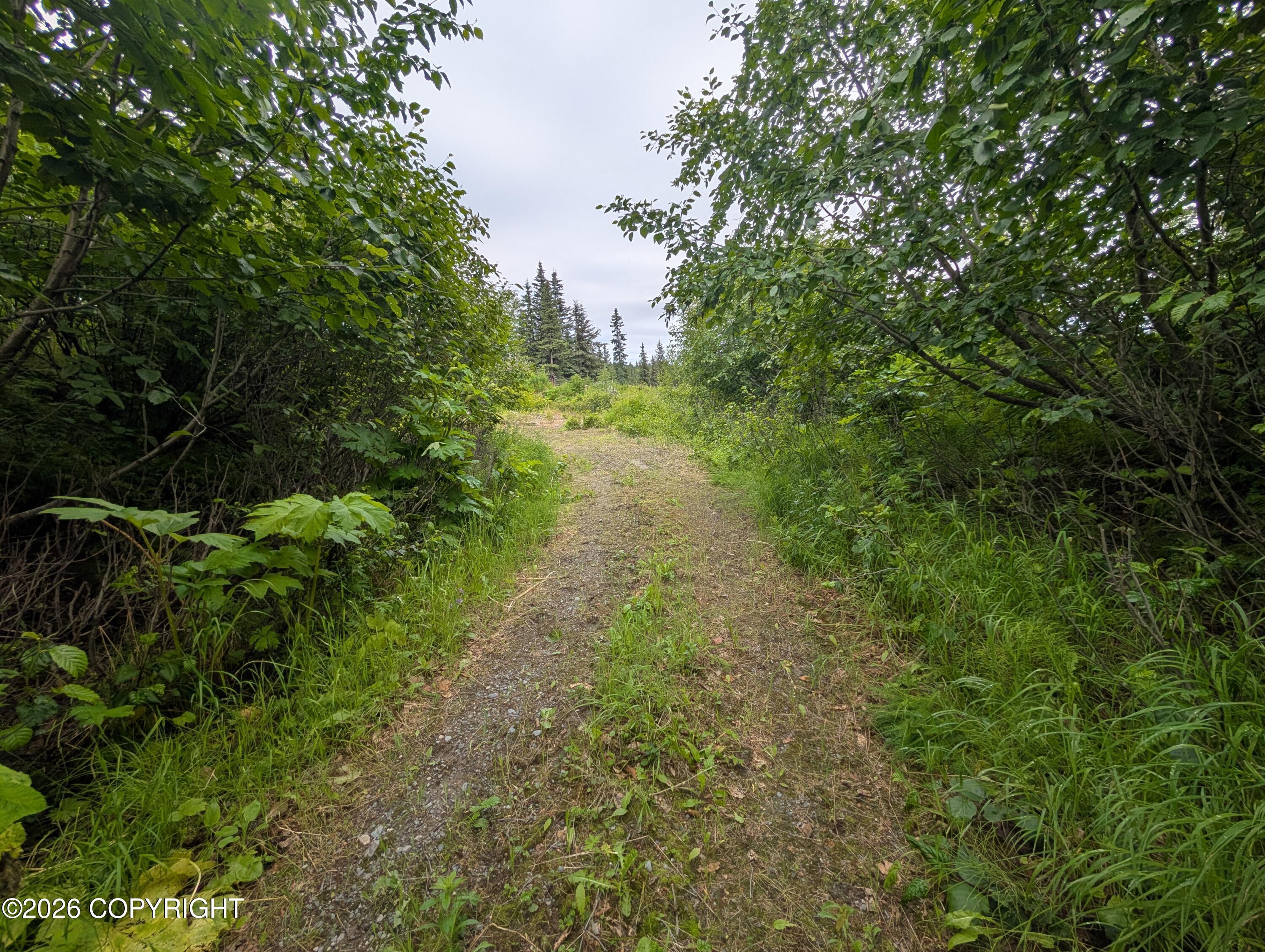 67118 Deep Creek Road, Ninilchik AK 99639