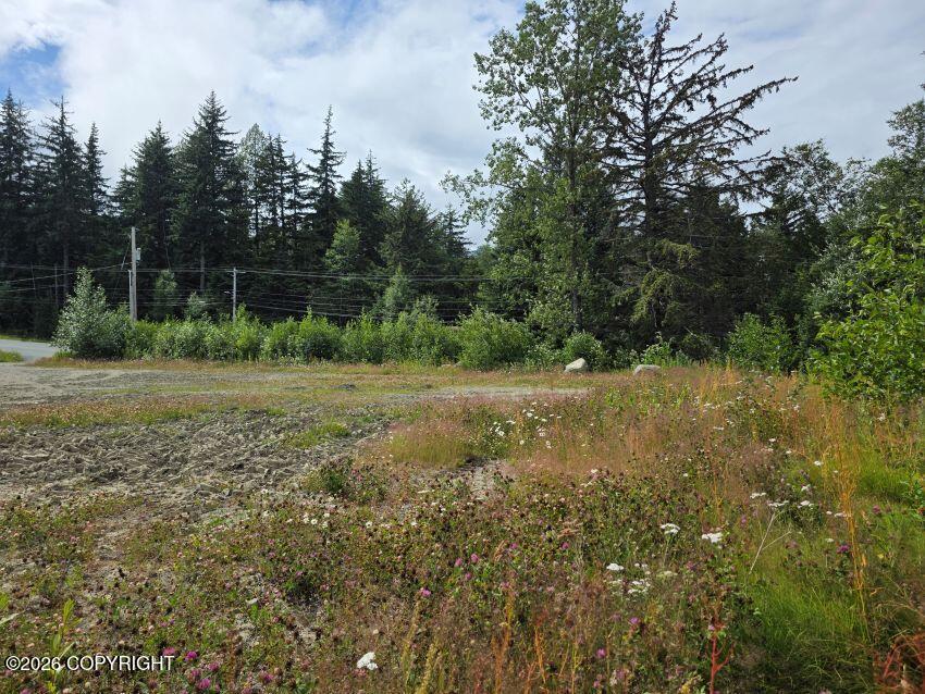 9 Third Avenue, Haines AK 99827