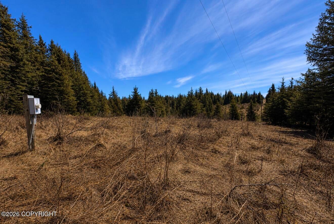 000 Twitter Creek Lane, Homer AK 99603