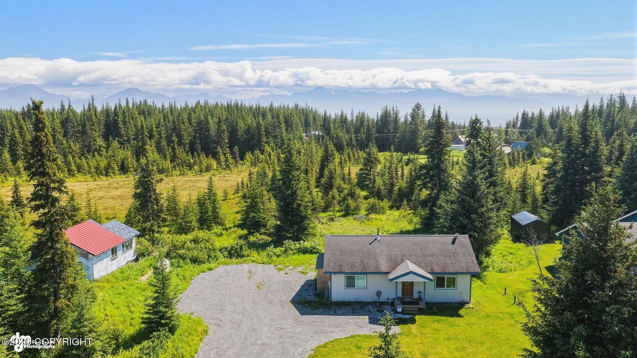 1161 Eagle View Drive, Homer AK 99603