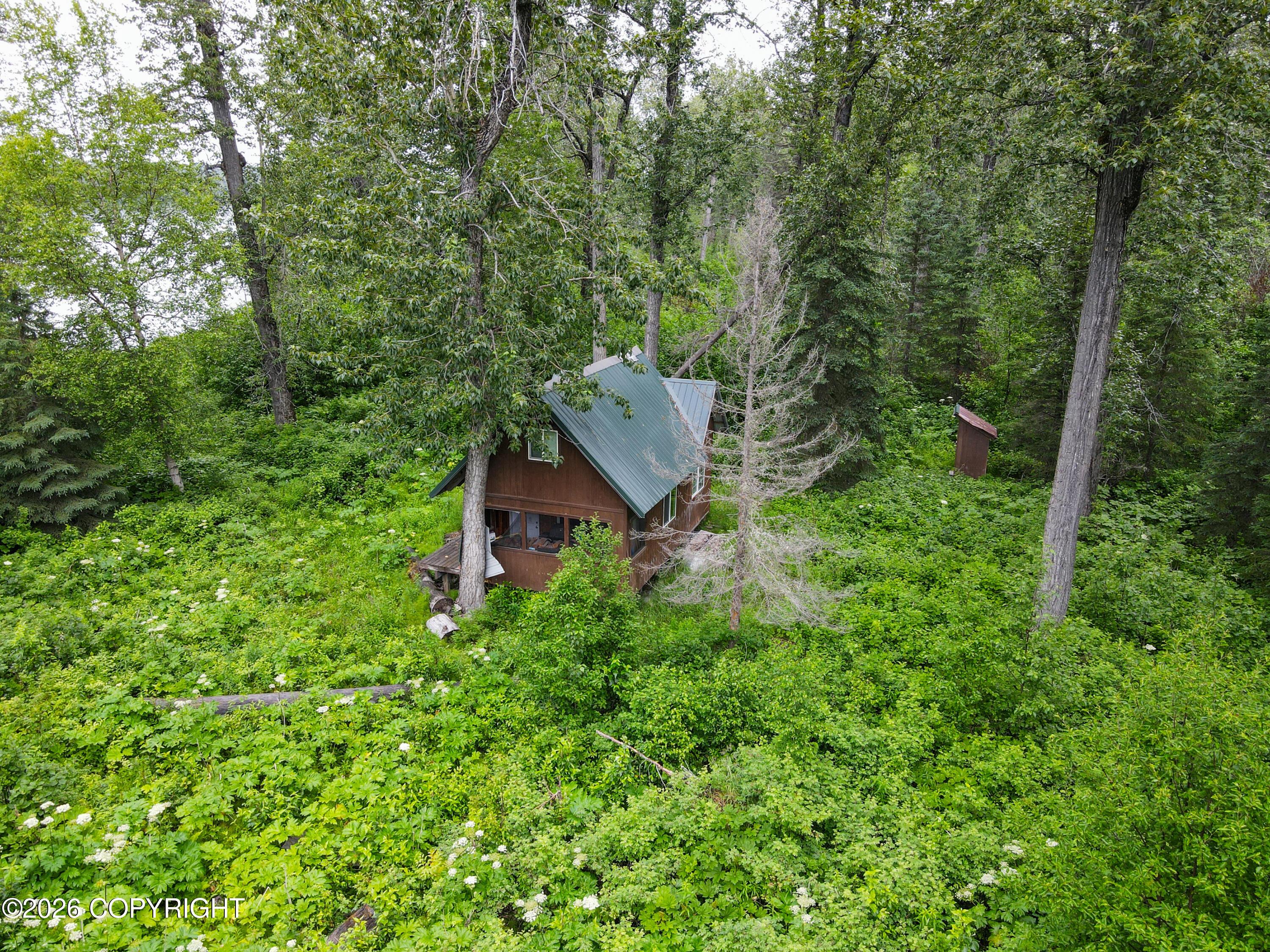 Tr E Susitna River, Willow AK 99688