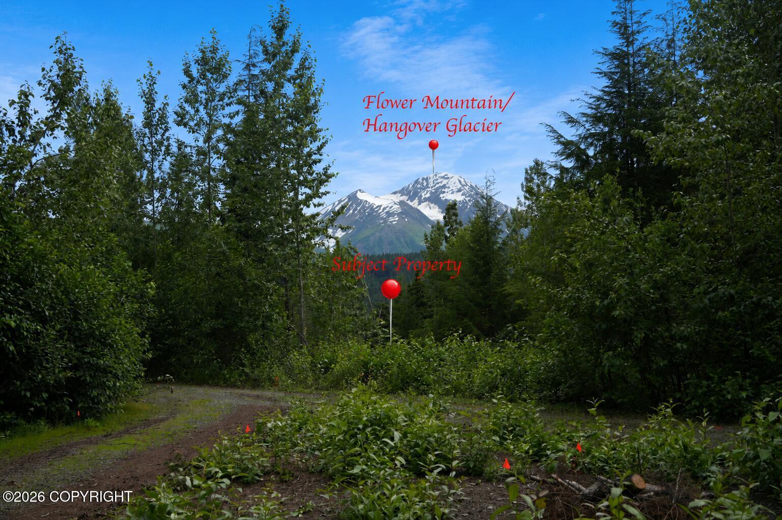 Lot 20 Buckeye Lane, Haines AK 99827