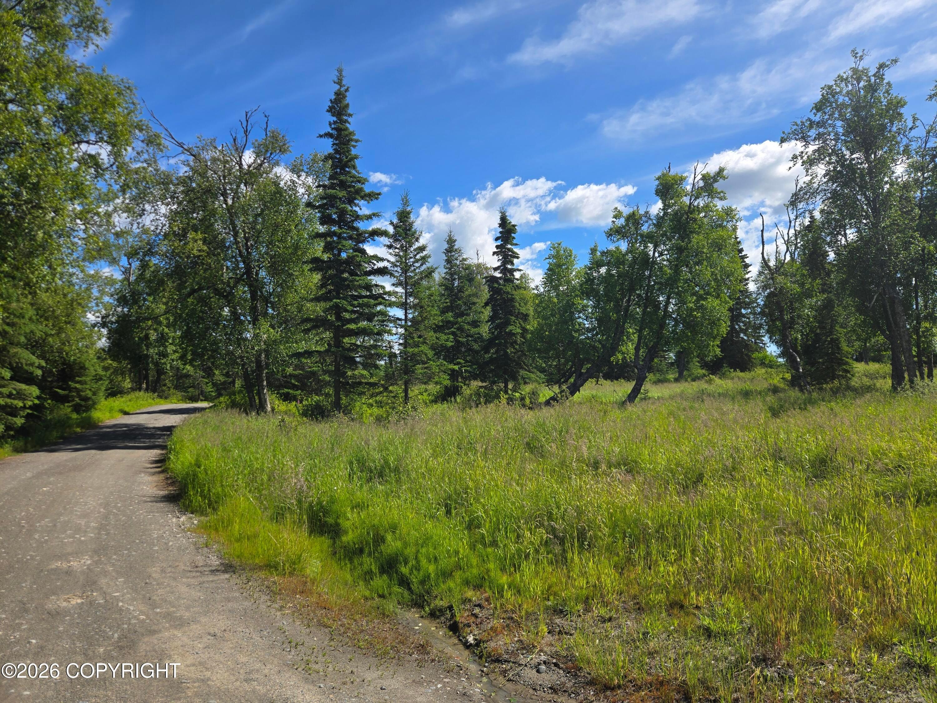 53347 Grindstone Avenue, Kasilof AK 99610