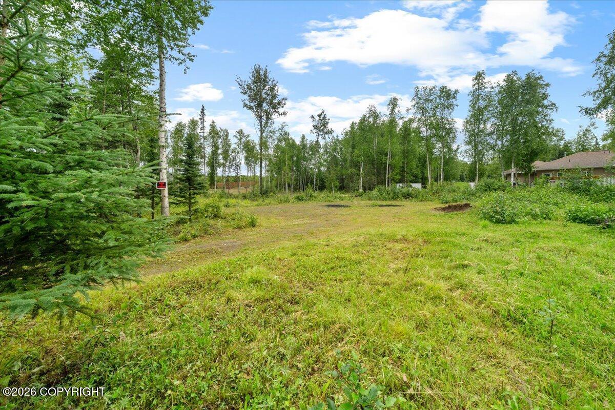 781 N Tammy Lane, Wasilla AK 99623
