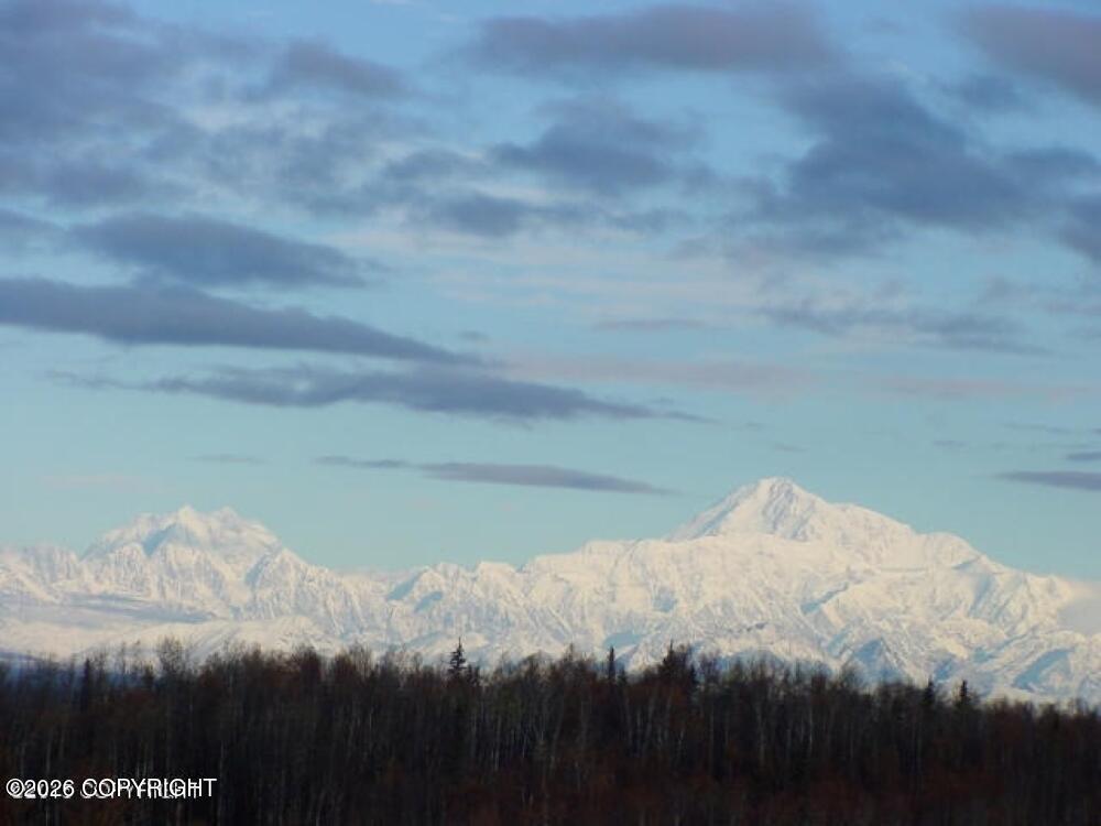 35568 S Malaspina Loop, Talkeetna AK 99676