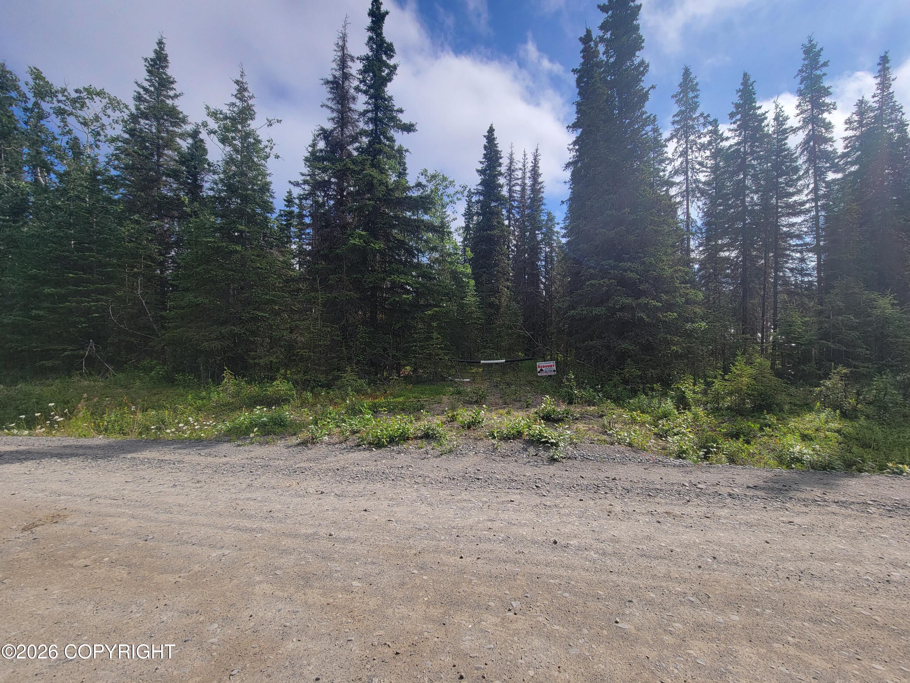 19290 Squirrel Street, Kasilof AK 99610