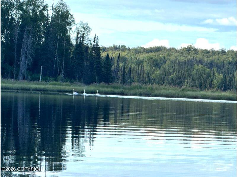 Tr A-B W BJ Lake, Skwentna AK 99688