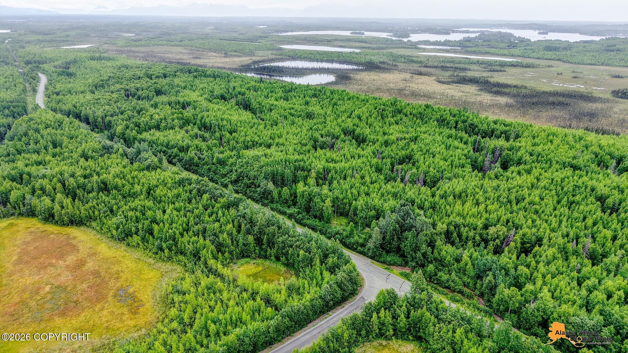 18590 W Lakes Boulevard, Big Lake AK 99652