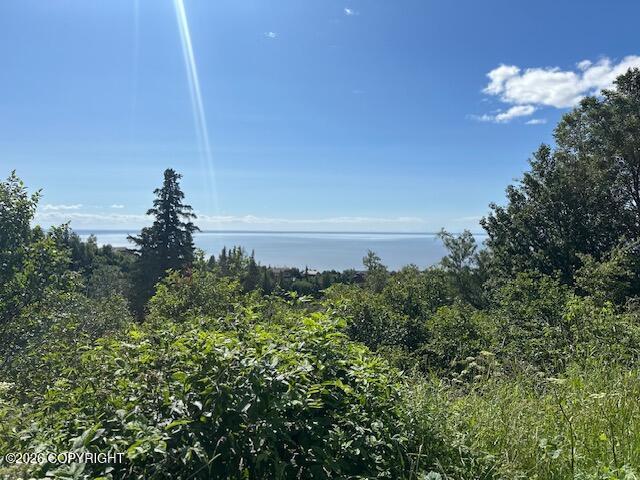 L16 B9 Romania Drive, Anchorage AK 99516