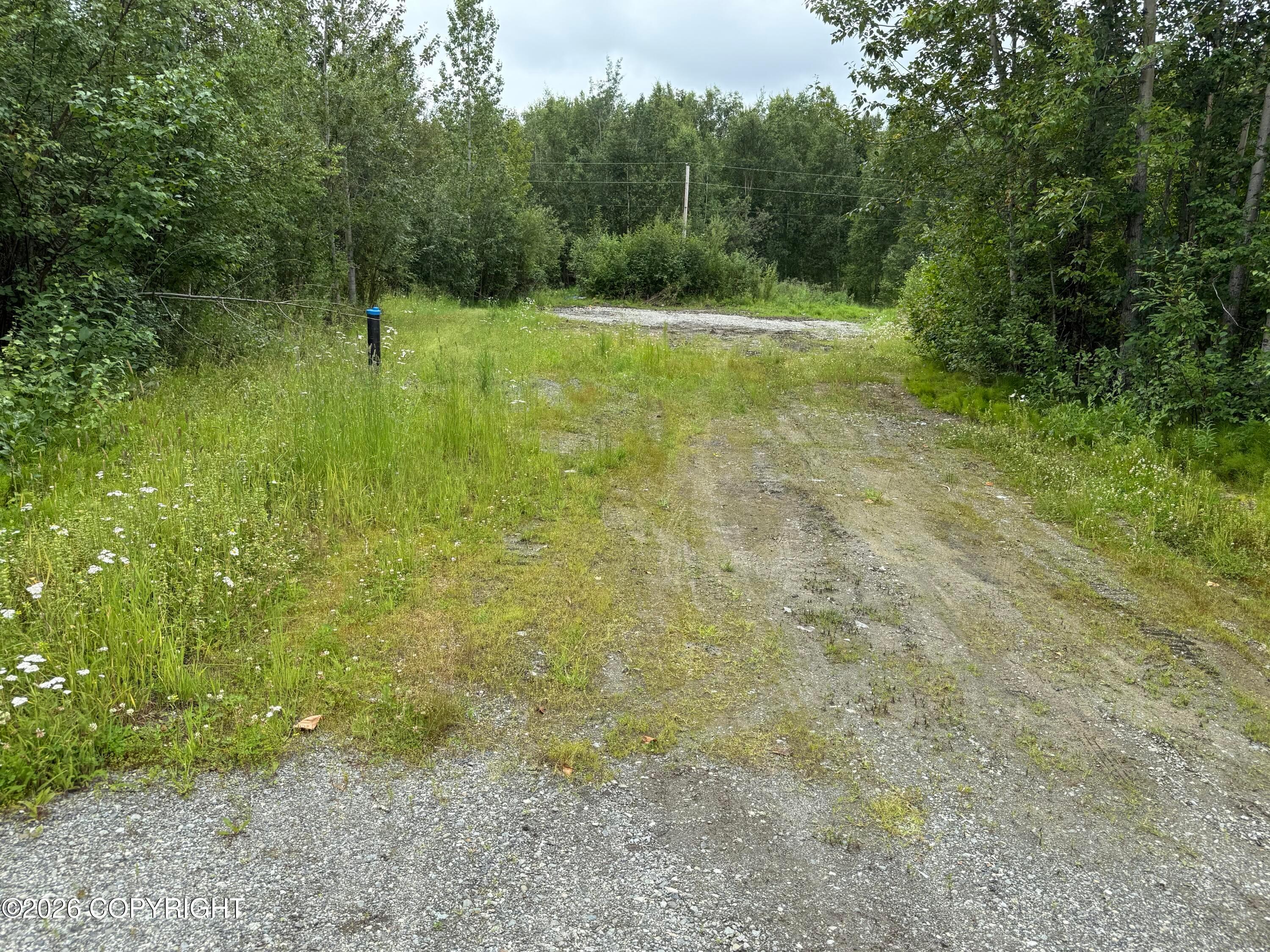 5580 W Limberlost Avenue, Wasilla AK 99623